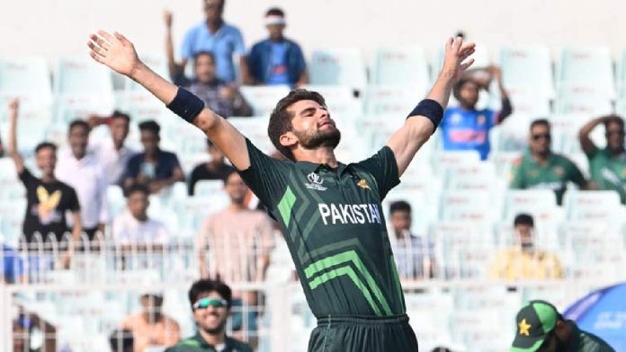 Shaheen Afridi is named Pakistan's T20I captain by PCB while Shan Masood will captain the Test team following Babar Azam's departure.