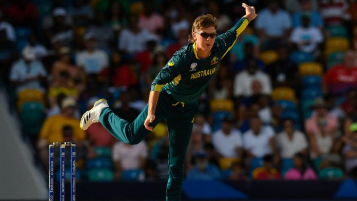 Australia defeated England by 36 runs, Adam Zampa took key wickets